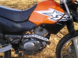 Avatar de huevo7