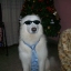 carlos