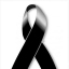Lic Rodrigo Leon