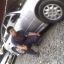 eduard