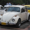 Mi escarabajo 1967