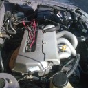 Pics